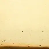 ORO ZECCHINO SFUMATO ORO PERLATO